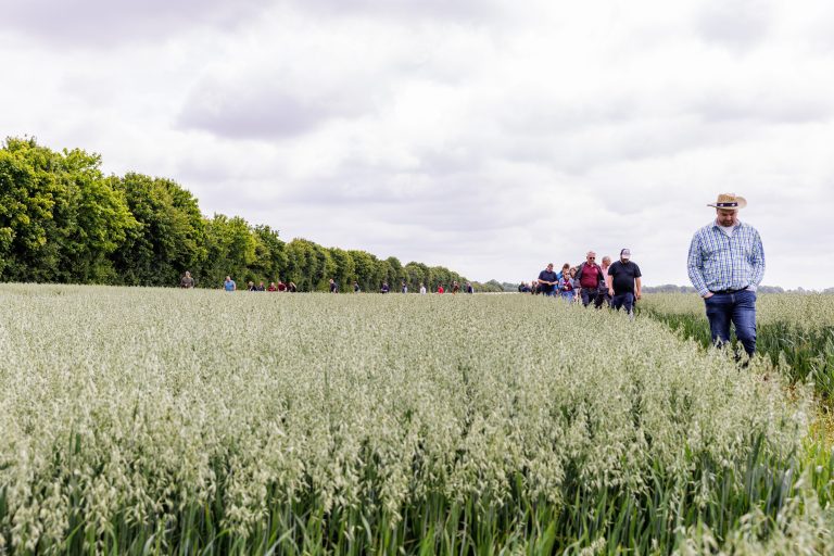 250618_Hafertag in Thelkow - Bilder_MG_6633 250618_Hafertag in Thelkow - Bilder_MG_6633