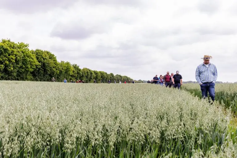 250618_Hafertag in Thelkow - Bilder_MG_6633 250618_Hafertag in Thelkow - Bilder_MG_6633