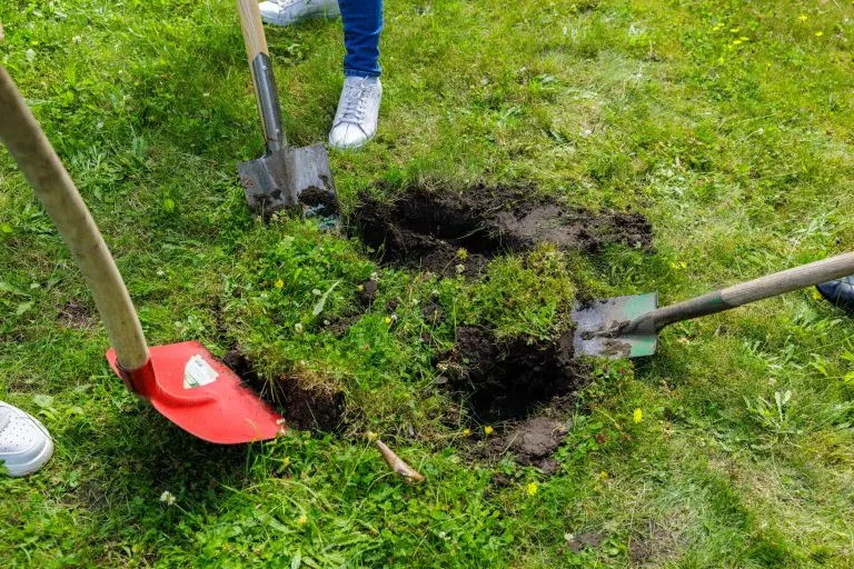 250804_Baumpflanz-Aktion - SocialMedia Nominierung von Frischli - BILDER_MG_4034 Das Bild zeigt drei Spaten und ein ausgebuddeltes Loch auf einer Wiese.