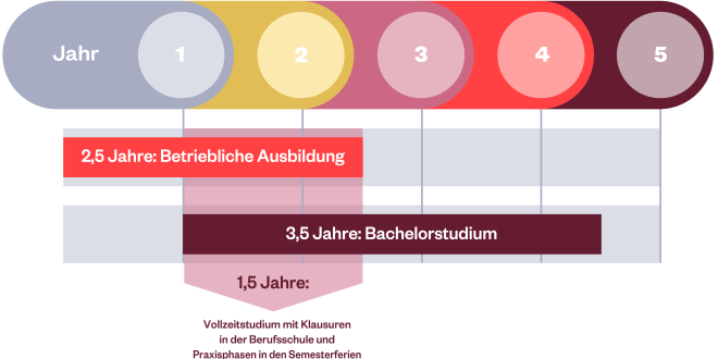 H. & J. Brüggen KG, Grafik Ablaufschema für ein Duales Studium, Wirtschaftsingenieur-innen, Lebensmittelindustrie